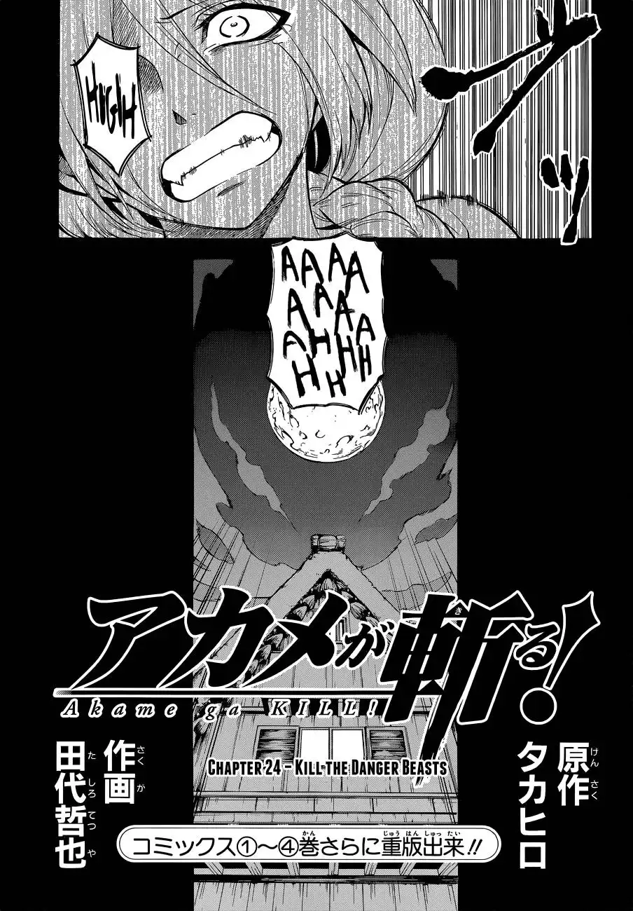 Akame ga Kill! Chapter 24 3